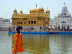 Templo dorado. India.