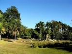 Parque del Este. Caracas.