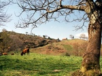 Paisaje de Asturias. España