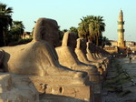 Avenida de las Esfinges en Luxor - Egipto
