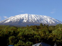 Selva de Tanzania con el Kilimanjaro al fondo.