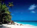 Playa en las Islas Fidji