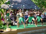 Danza maorí en Nueva Zelanda