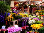 Mercado de flores en Amsterdam. Holanda.