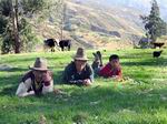 Pastoreando en los Andes.