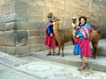 Mujeres andinas con sus llamas.