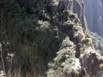 Huayna Picchu.