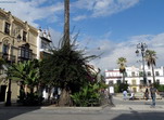 Plaza del Cabildo. Sanlúcar de Barrameda.