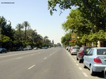 Avenida de las Delicias - Sevilla