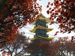 Pagoda - China