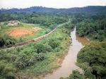 Tren en la selva - Congo