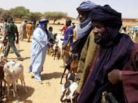 Mercado de ganado en Burkina-Faso.