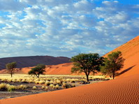 Salar de sossusvlei. Desierto de Namibia.