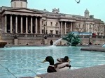 Plaza de Trafalgar - Londres (Gran Bretaña)
