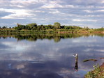 Lago en Pervo. Rusia.