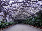 Jardín botánico La Concepción. Málaga.