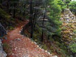 Camino en la sierra de Láujar de Andarax.
