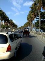 Avenida de Santo Domingo.